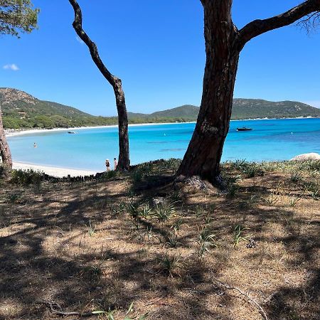 Villa Palombaggia Porto Vecchio Esterno foto