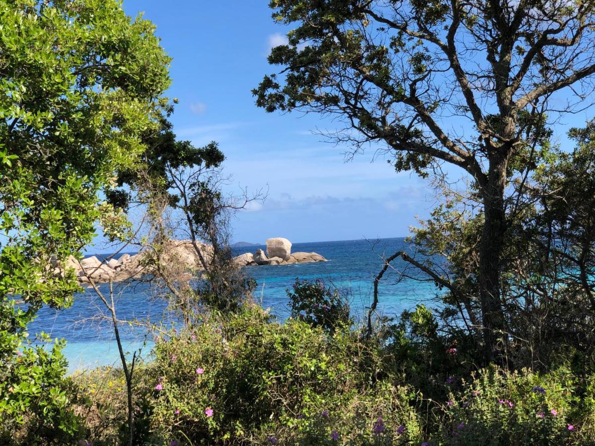 Villa Palombaggia Porto Vecchio Esterno foto