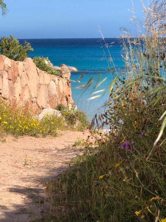 Villa Palombaggia Porto Vecchio Esterno foto