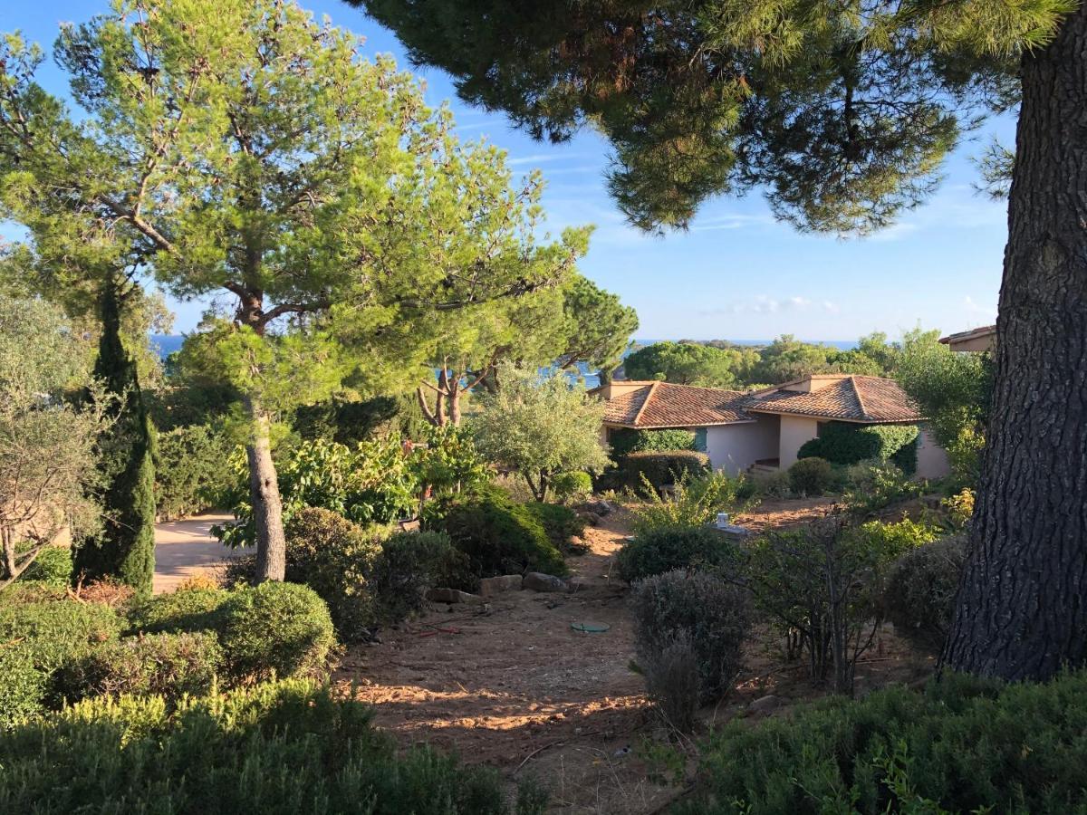 Villa Palombaggia Porto Vecchio Esterno foto