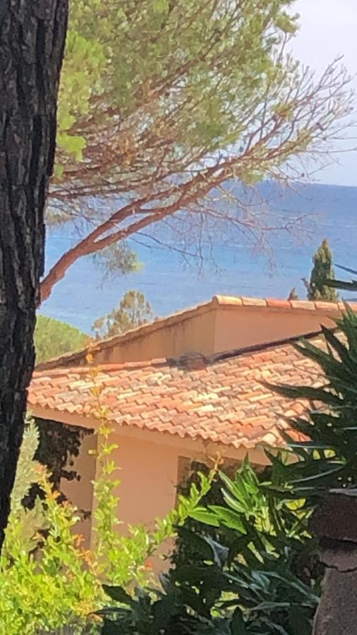 Villa Palombaggia Porto Vecchio Esterno foto