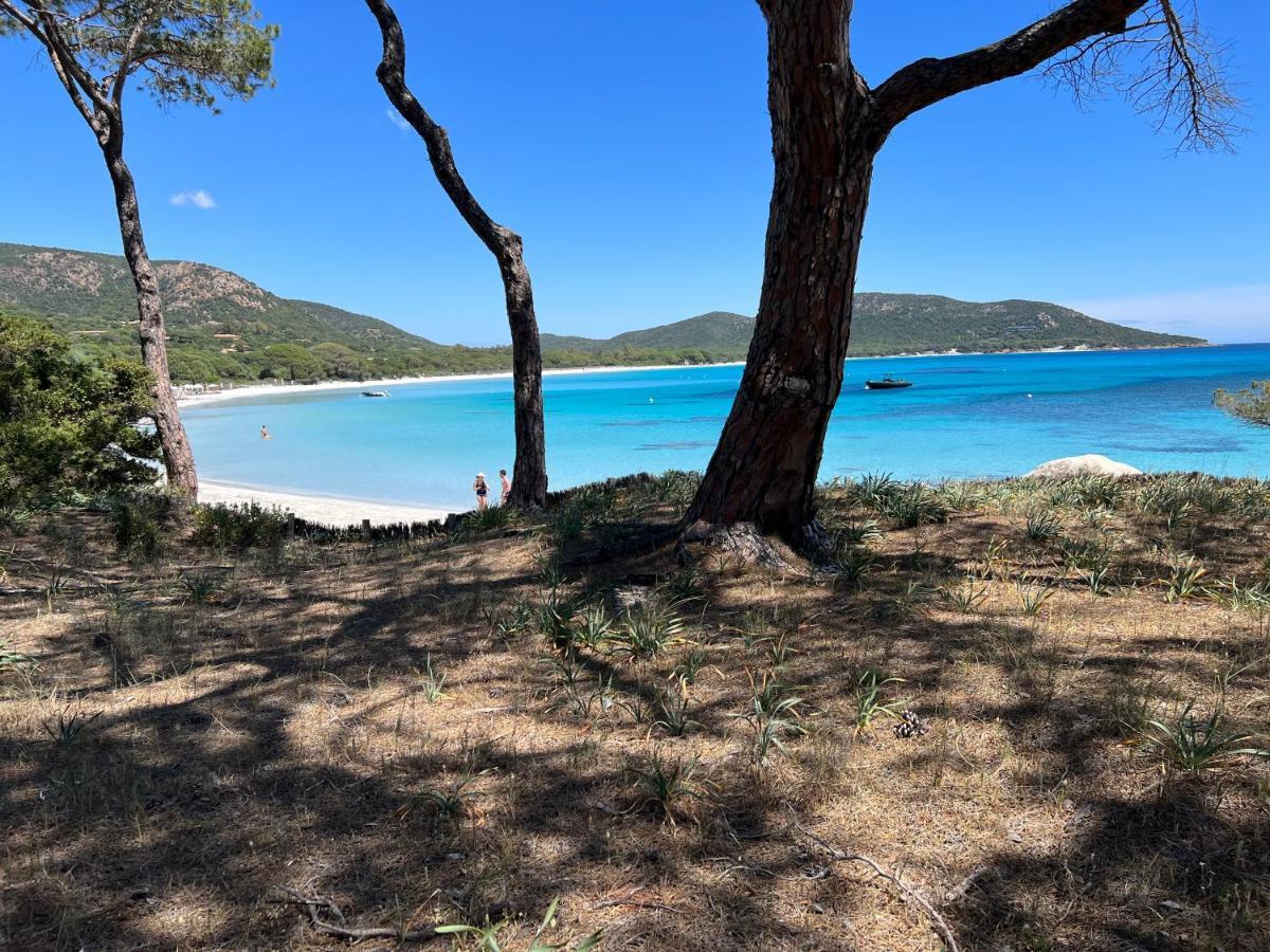 Villa Palombaggia Porto Vecchio Esterno foto